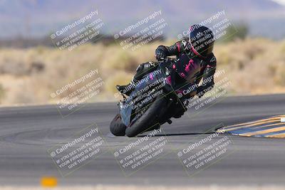 media/Nov-11-2023-SoCal Trackdays (Sat) [[efd63766ff]]/Turn 16 (11am)/